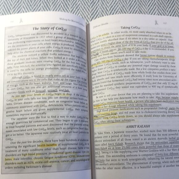 Waking the Warrior Godess  Dr Christine Horner paperback Breast Cancer USED BOOK - Picture 9 of 11